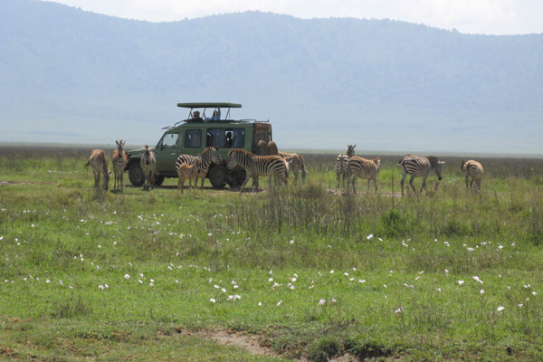 Safari i Tanzania