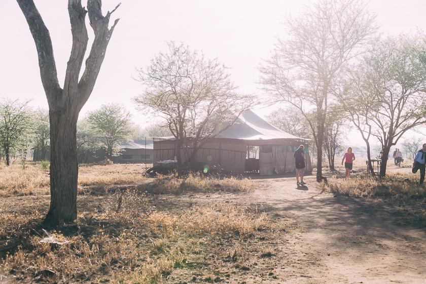 Tips hur du kan tänka kring dricks på din safariresa till Tanzania.