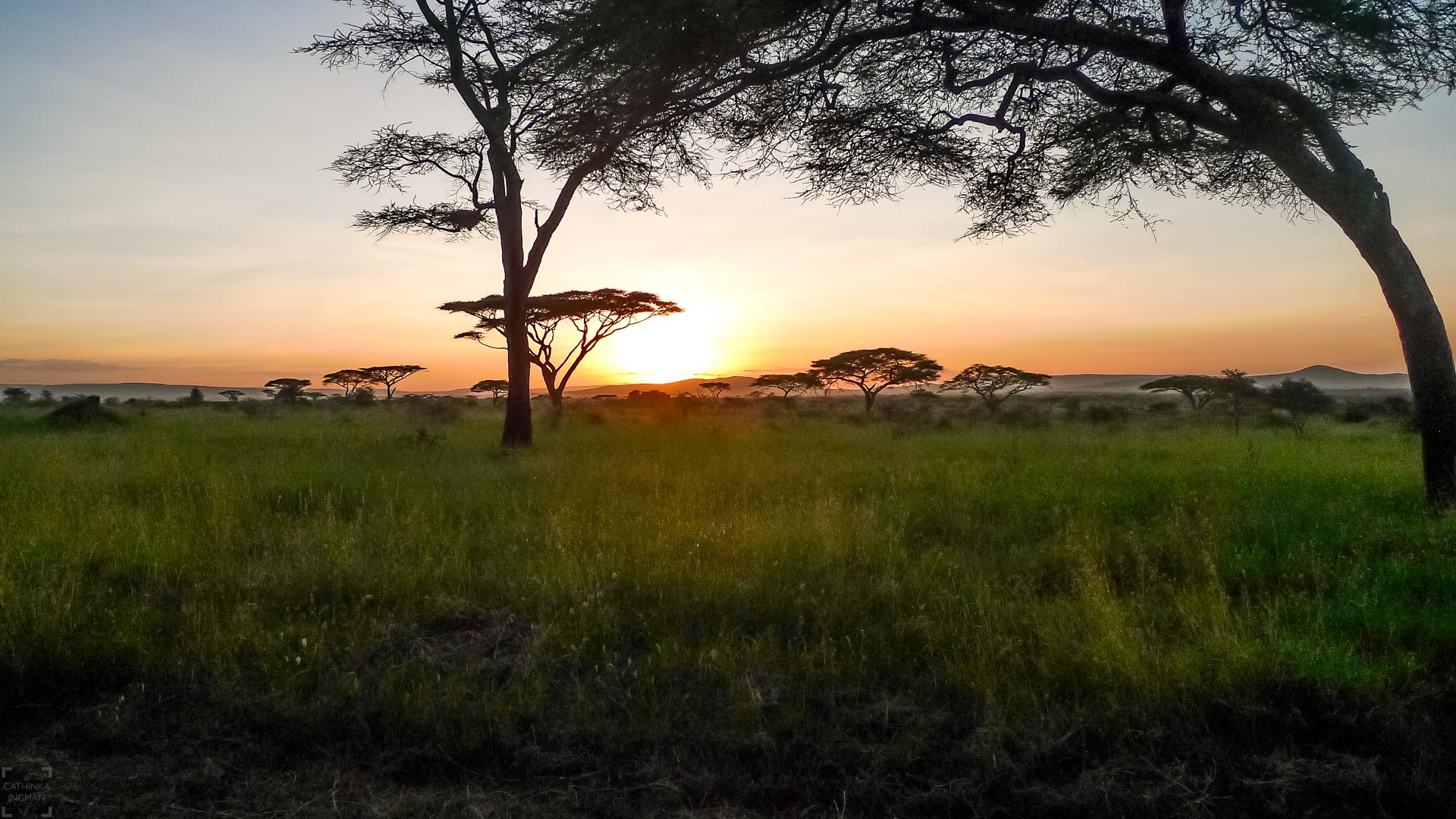Resa till Tanzania. Tanzania resa, safari Tanzania, Tanzania safari, solnedgång Serengeti