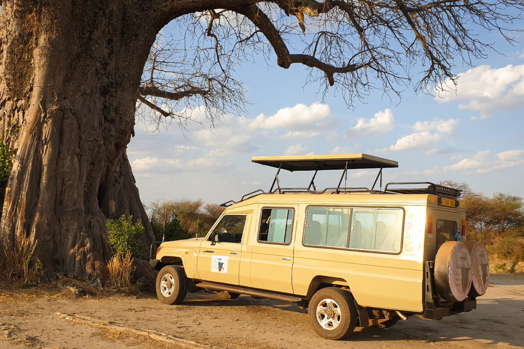 Safari i Tanzania, Tarangire National Park, Lake Manyara