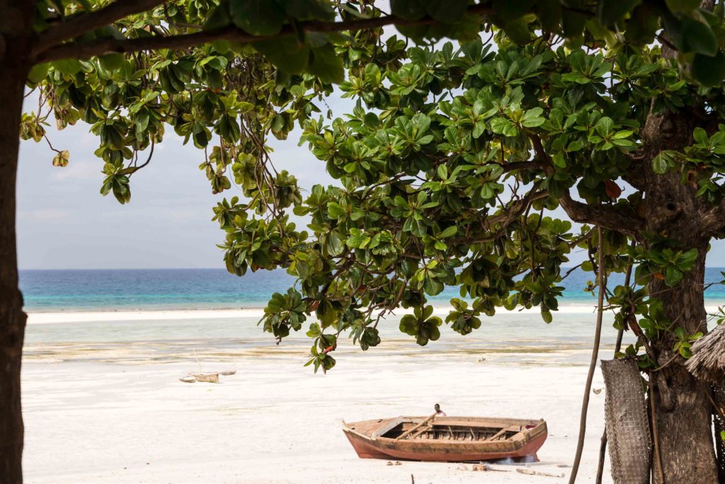 stränder på Zanzibar
