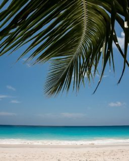 Seychellerna - det finns nog få destinationer med en så romantisk klang. Och det är verkligen ett paradis för strandälskaren. Med över 100 öar kan vi lova att det finns en favoritstrand för alla. Vi har listat våra favoriter på Seychellernas största öar; Mahe, Praslin & La Digue. Vilken är din favorit?
Vill du läsa mer om våra favoriter följ länken i bion😍
📷 @cathinkai 
#seychellesislands 
#seychellerna
#paradis 
#paradiseisland 
#paradisebeach 
#strand 
#semester 
#detblirintebättreänsåhär 
#dröm
#drömresa 
#instatravel