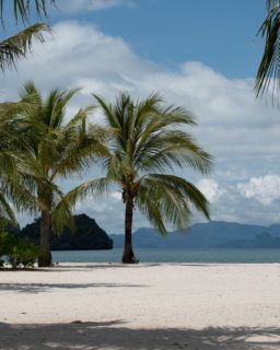 Just nu är vi på rundresa i Malaysia och har lämnat Langkawi. Ön på Malaysias västkust som egentligen inte är en ö utan 99 stycken öar (+5 vid lågvatten). Kontrasternas ö. Här omsluts du av en otrolig lummig grönska, blått hav eller taxfree affärernas lockande hyllor. Här blandas det traditionella med det moderna. Här kan du bo längs populära Chenang Beach med tillgång till barer, caféer och allsköns vattensporter eller mitt ute i naturen där du endast hör cikadorna och en och annan apa som tjattrar. Langkawi är ön som osar vänlighet och gästfrihet. Perfekt att kombinera med en resa till Malaysiska fastlandet eller Borneo.
Om du är intresserad av en resa hit kan du läsa mer om våra resor till Malaysia här:
https://www.kenzantours.se/malaysia/
#malaysia #langkawi #langkawi_island  #duskyleafmonkey #beach #travel @malaysia.truly.asia