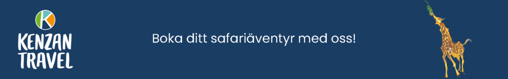 Safari i Tanzania