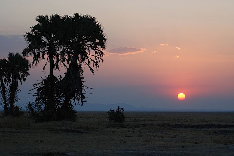 Katavi National Park