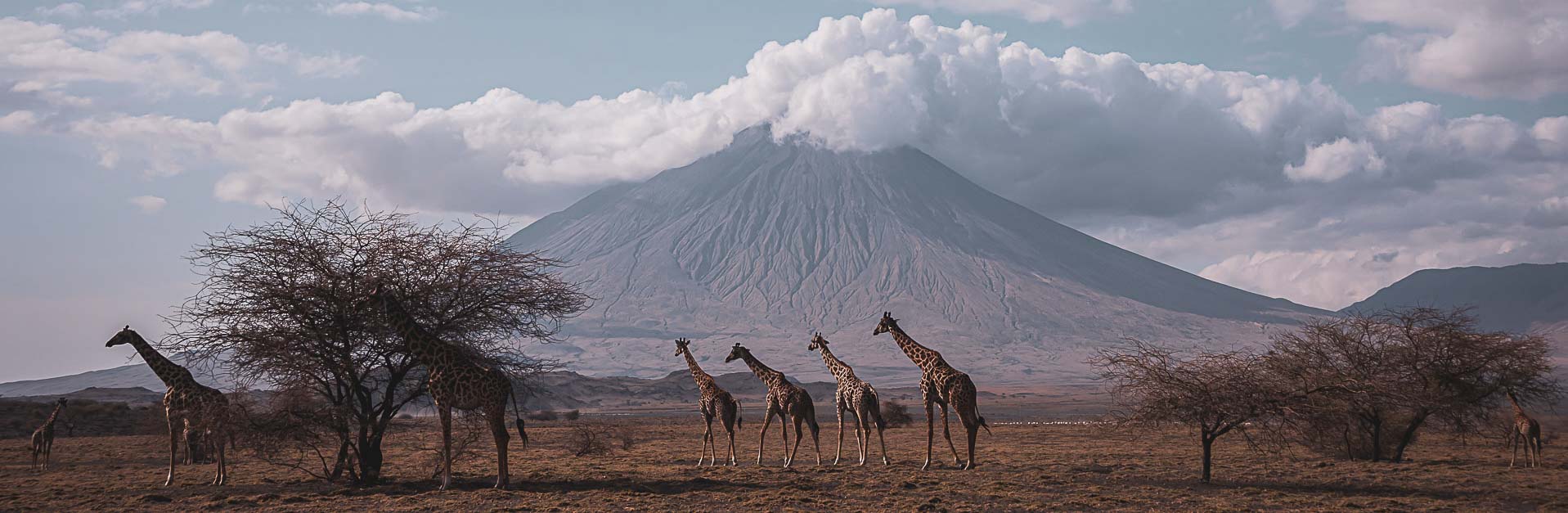Tanzania, safari och äventyr.