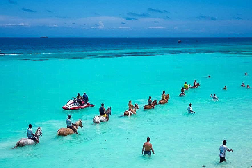 Rida på Zanzibar – Utforska paradisön från hästryggen