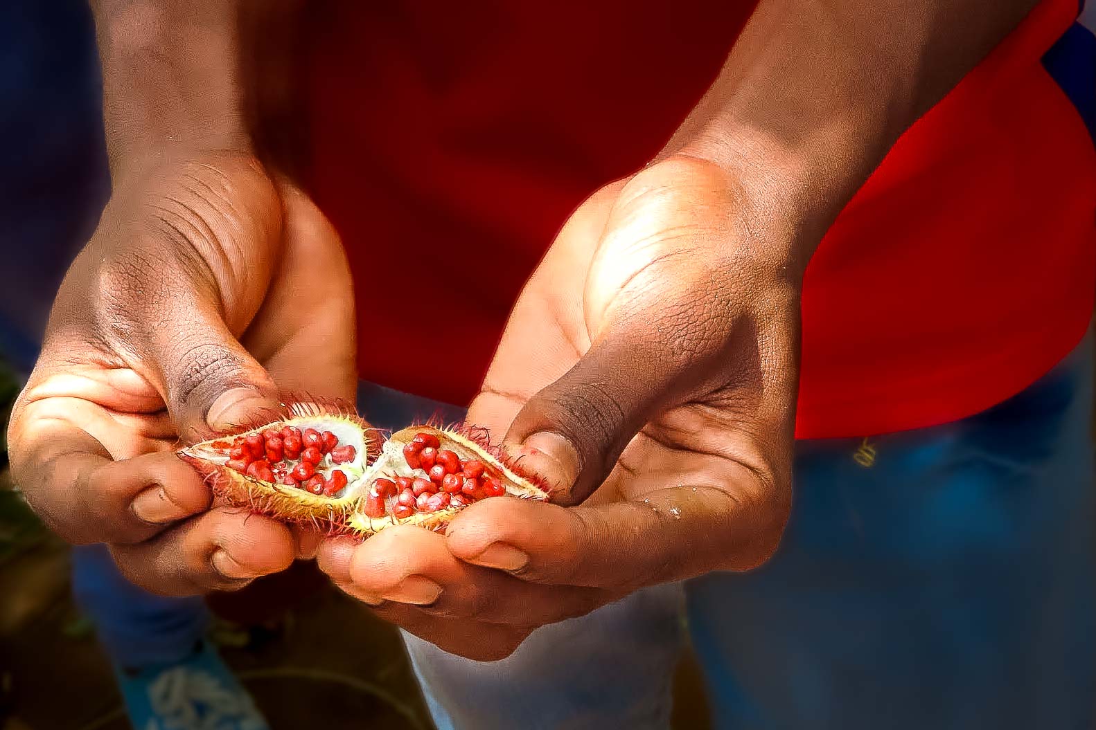 Kryddturer på Zanzibar – mer än bara vanilj och kanel