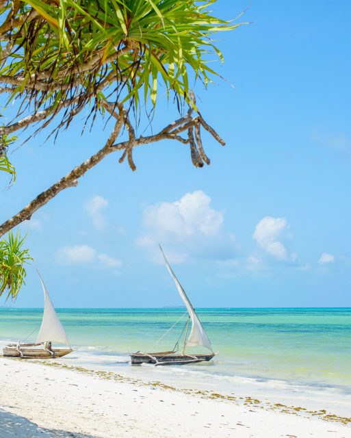 Zanzibar eller Seychellerna?
Fick du för lite av sol, värme och strand i sommar?
I oktober/november är det perfekt läge att resa till både Zanzibar och Seychellerna. Vattnet håller fortfarande sommartemperatur och högsäsongen har ännu inte satt in.
Skillnaden ligger i vad du längtar efter. 
Zanzibar ger dig kryddöns historia, dhow-båtar och prisvärda dagar på stranden. Seychellerna ger dig granitklippor, tystnad och en mer exklusiv känsla.
Vilket lockar mest just nu?
Ring eller maila oss så hjälper vi dig hitta rätt resa för höstlovet.
📞 08-30 21 03
📩 info@kenzantravel.se